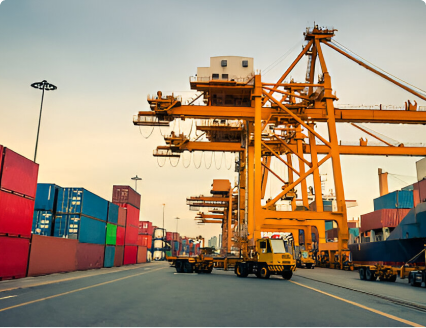 Fascinating insights into lizard behavior.