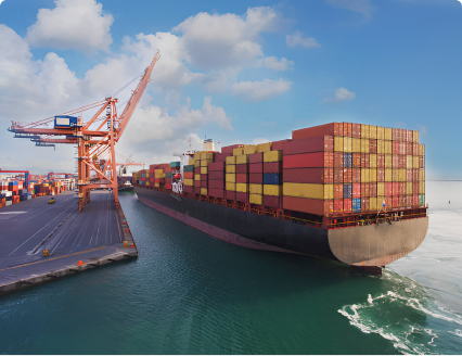 Fascinating insights into lizard behavior.