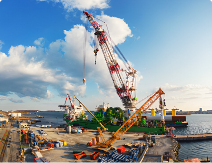 Fascinating insights into lizard behavior.